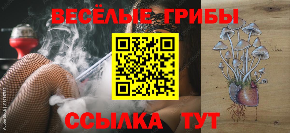 Галлюциногенные грибы Cubensis Волжск