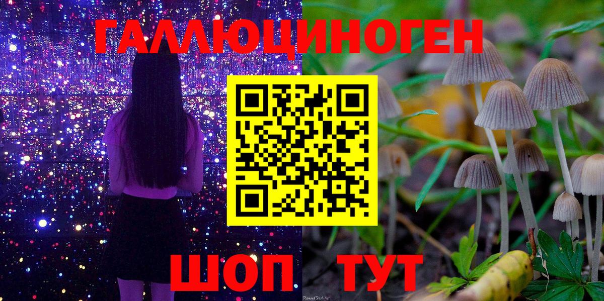 Волжск  Галлюциногенные грибы Magic Shrooms  Вход с VPN  Галлюциногенные грибы Cubensis 